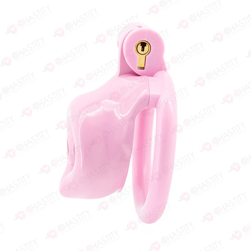 Dog Cosplay Chastity Cage - Image 2