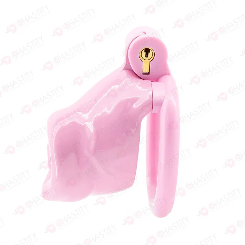 Dog Cosplay Chastity Cage - Image 4