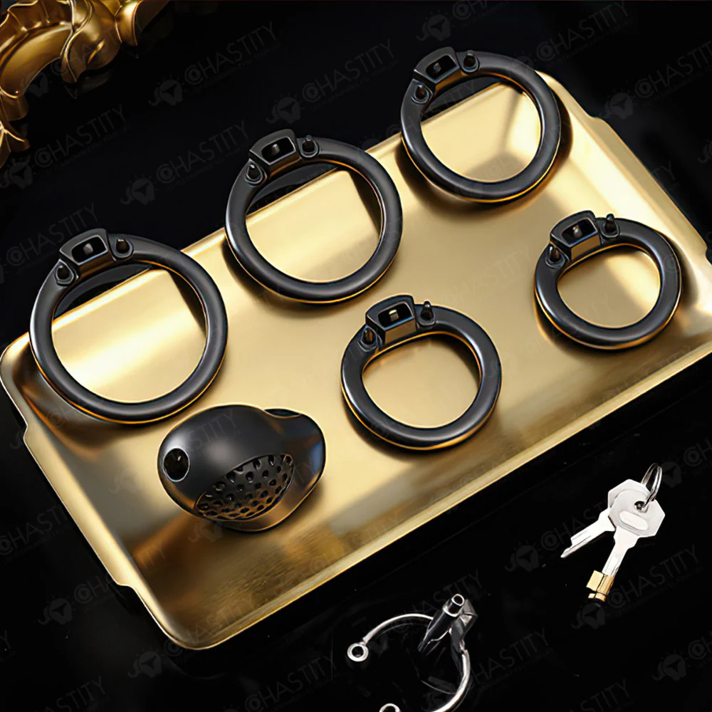 Double-Ring Locking Male Chastity Discipline - Image 4
