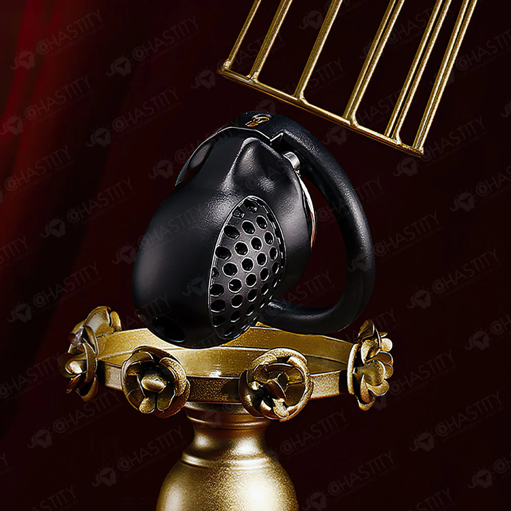 Double-Ring Locking Male Chastity Discipline - Image 5