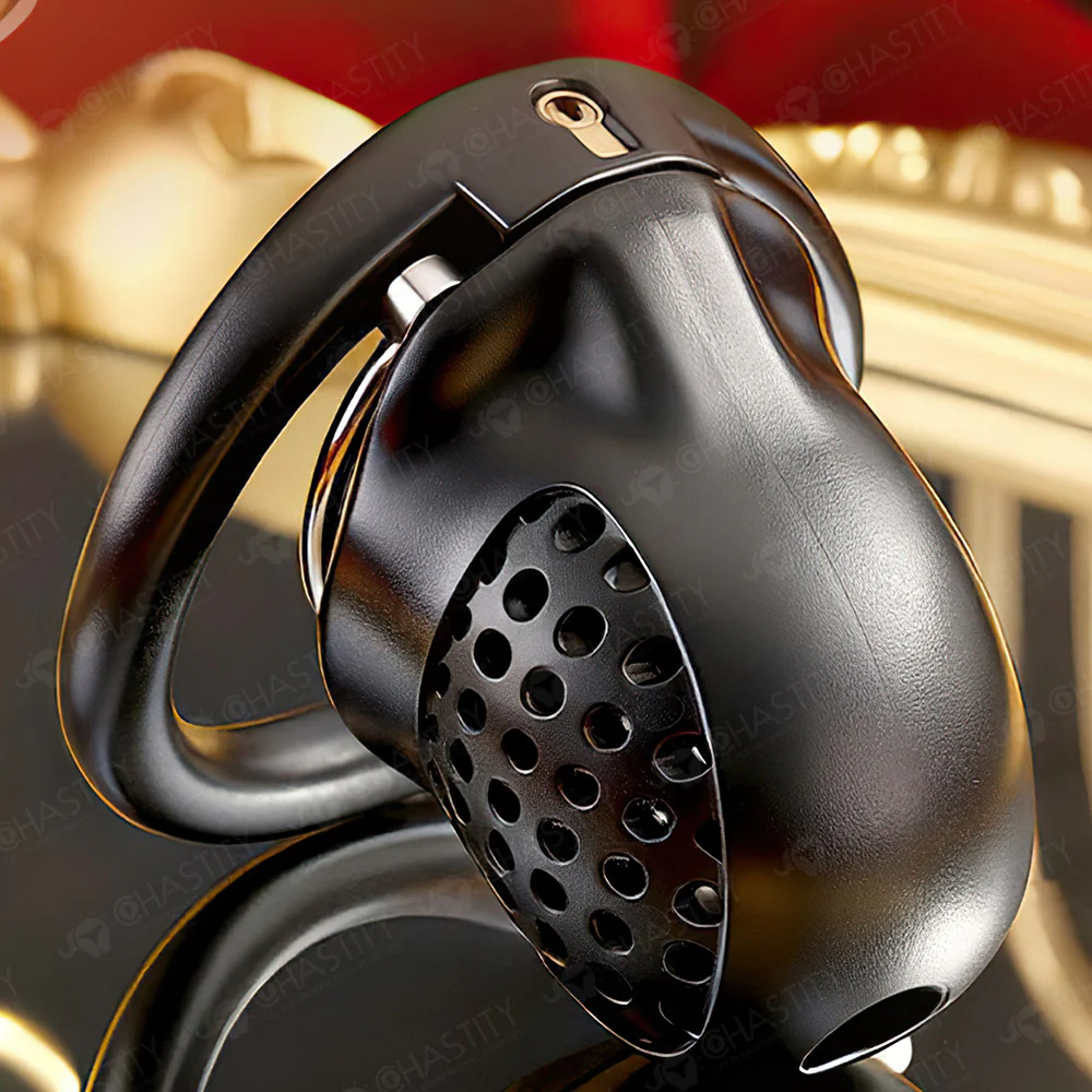 Double-Ring Locking Male Chastity Discipline - Image 6