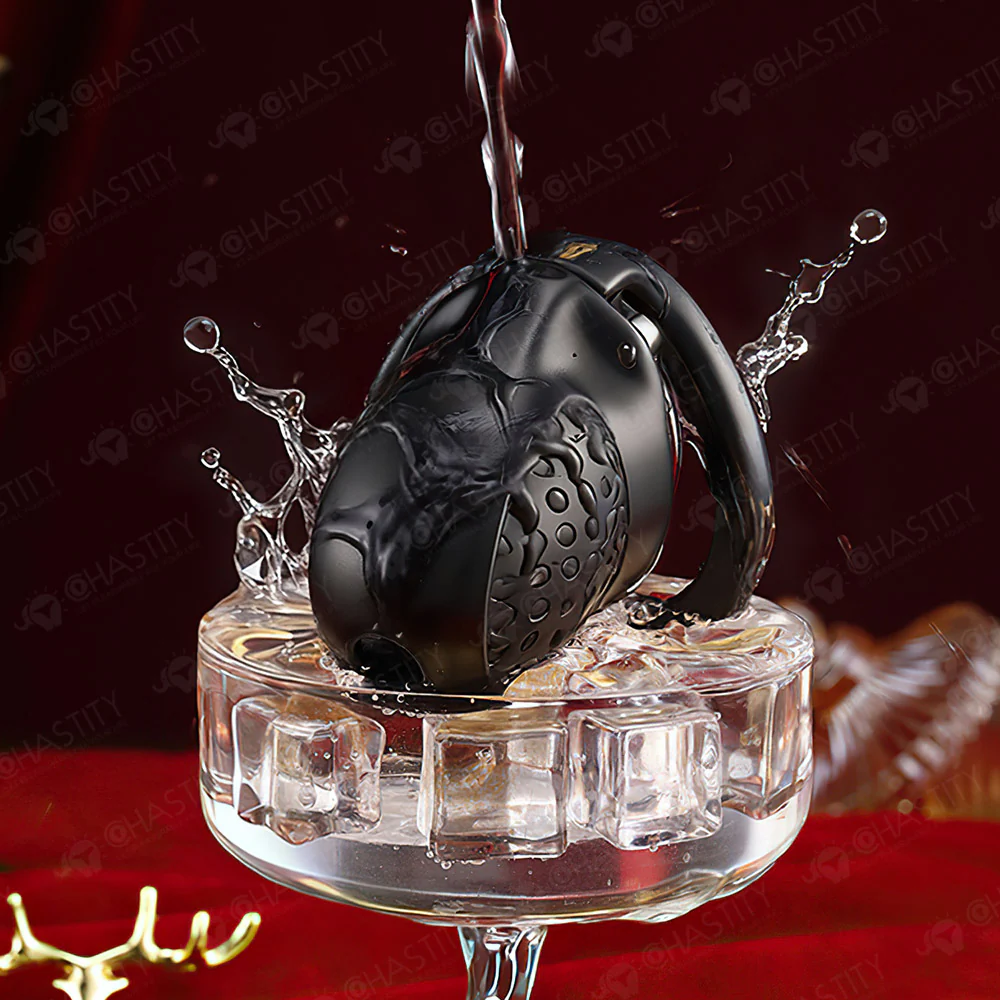 Double-Ring Locking Male Chastity Discipline - Image 9