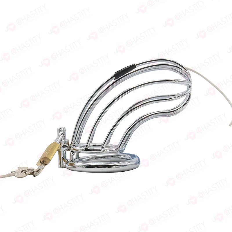 E-Stim Penis & Butt Plug Combo - Image 8
