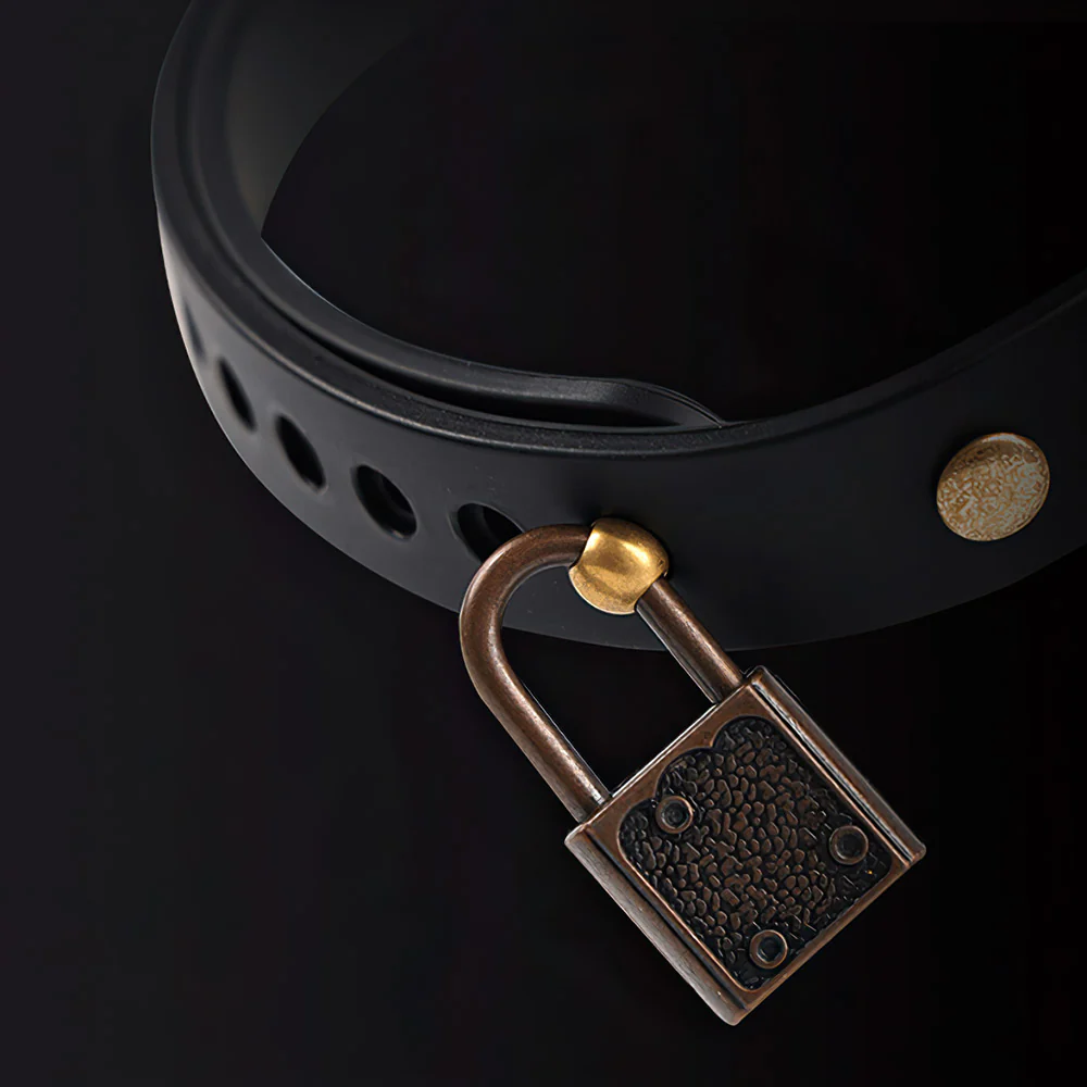 Electric Shock Collar - Image 6