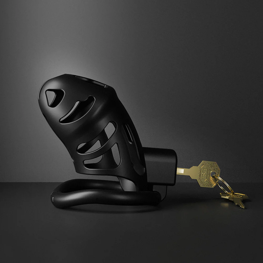 Erotic Lock - Image 4