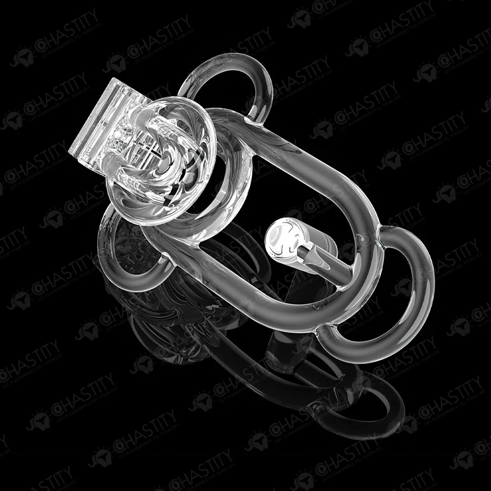 Female Chastity Cage - Image 10
