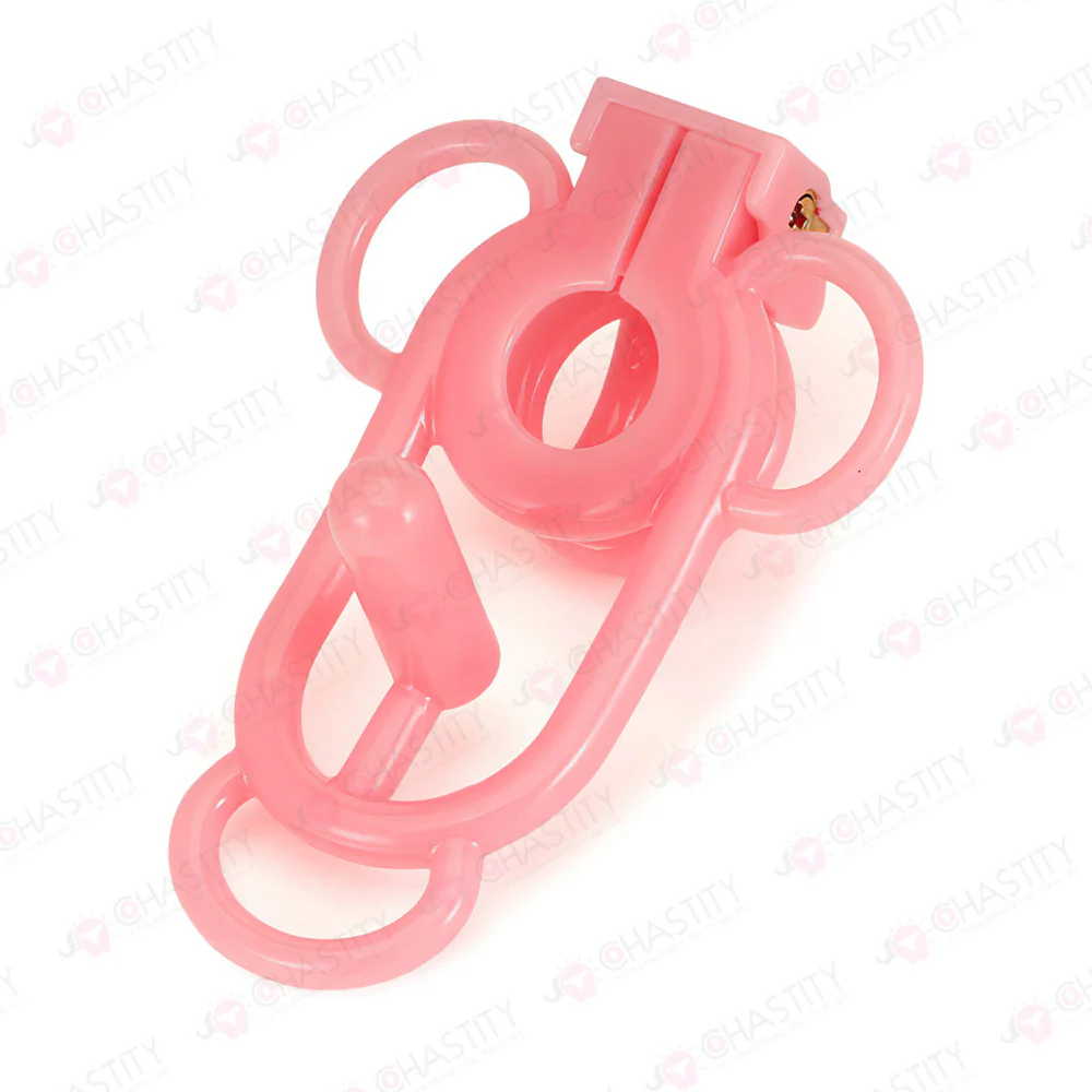 Female Chastity Cage - Image 5