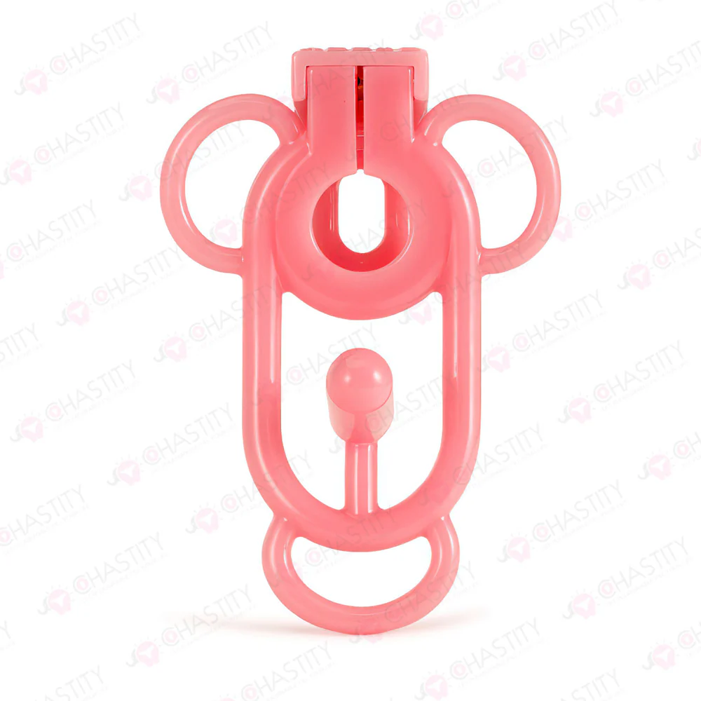 Female Chastity Cage - Image 6