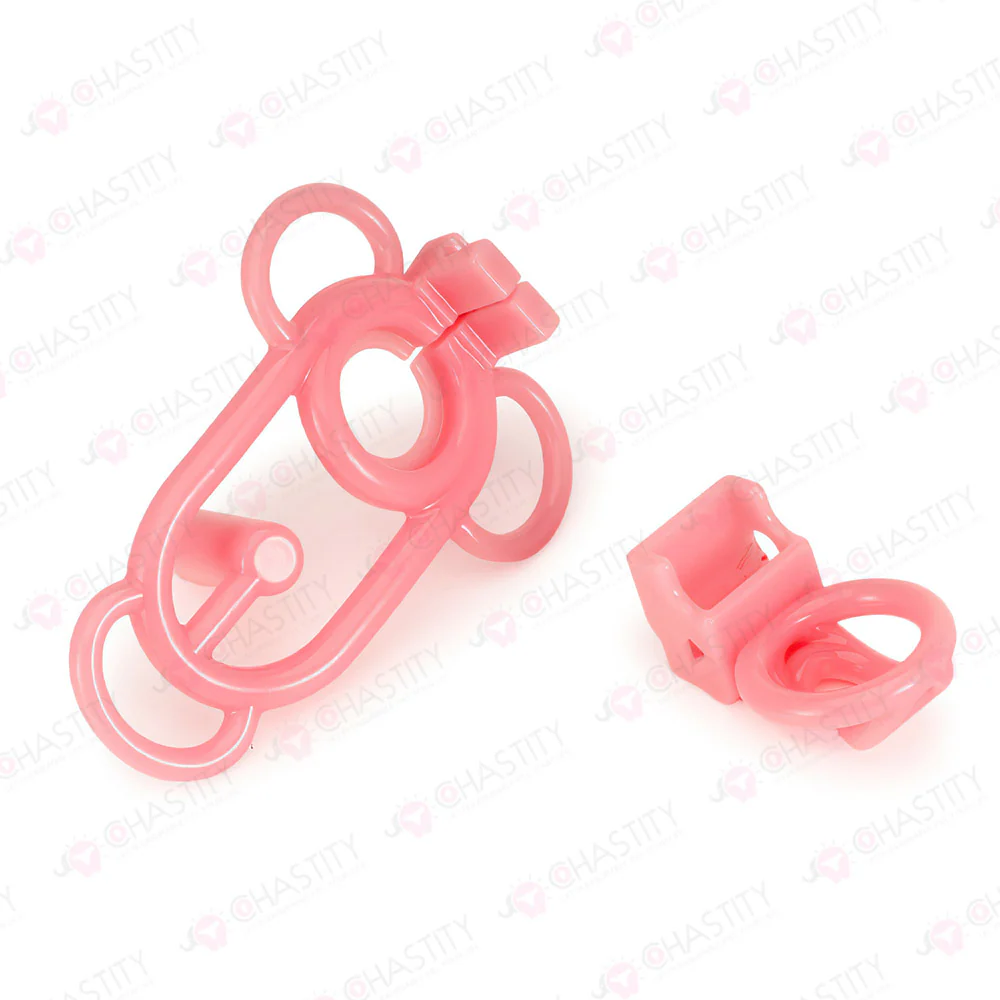 Female Chastity Cage - Image 7