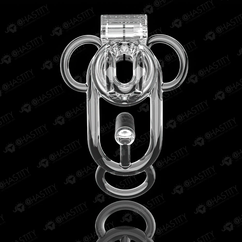 Female Chastity Cage - Image 8