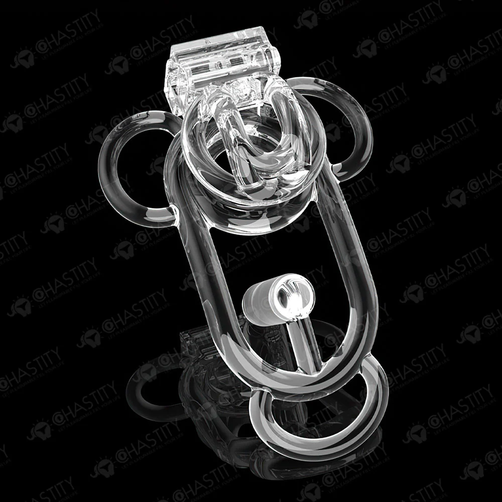Female Chastity Cage - Image 9
