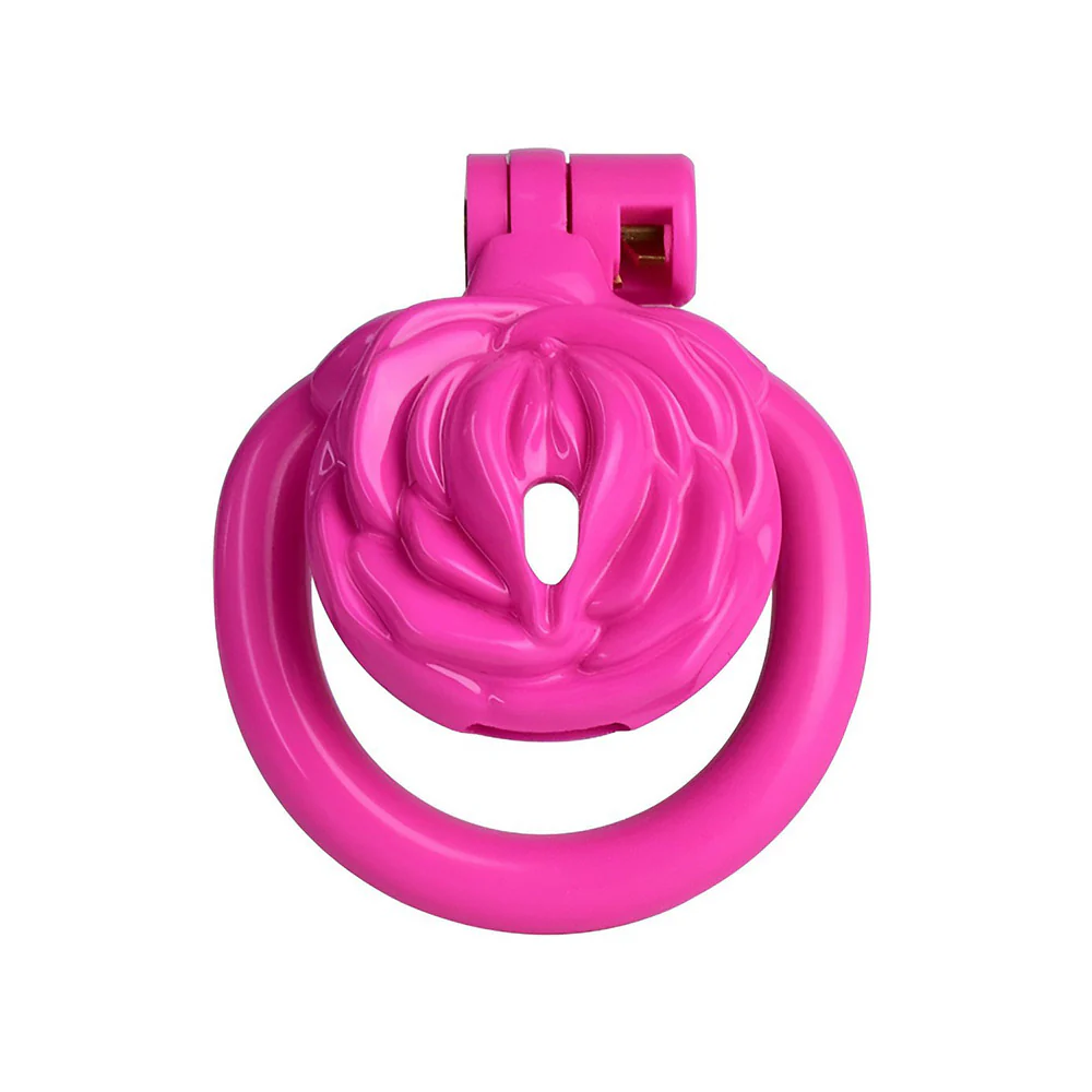Femboy Chastity Cage - Image 3
