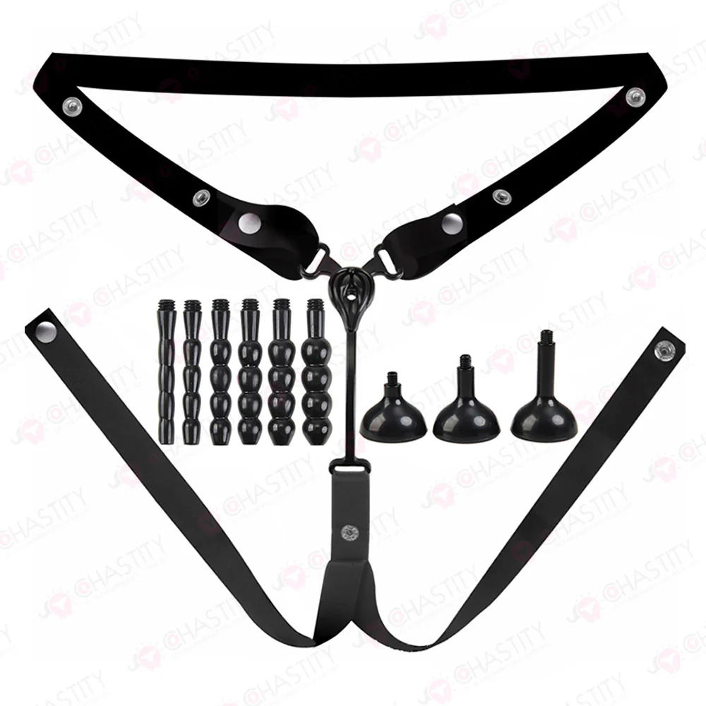 Feminization Chastity Device With Urethral Insert - Image 6