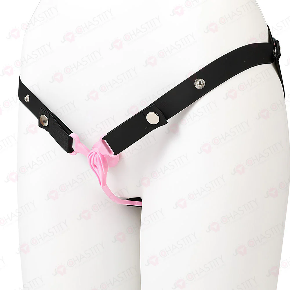 Feminization Chastity Device With Urethral Insert - Image 9