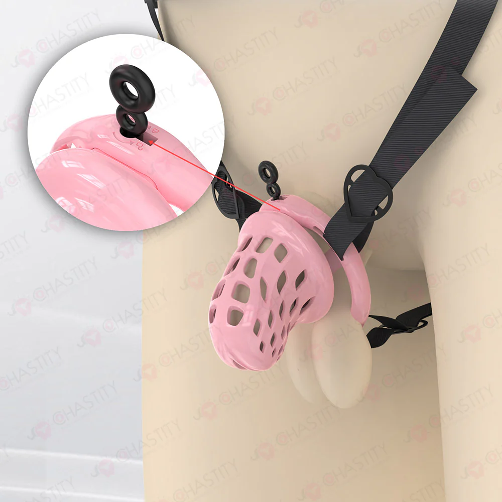 Fitting Chastity Cage - Hidden Lock Cylinder - Image 12