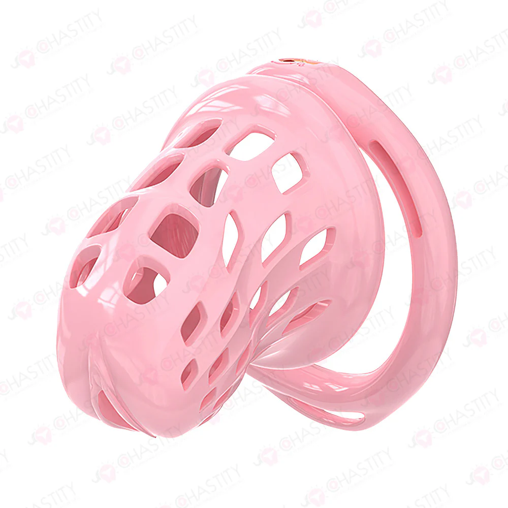 Fitting Chastity Cage - Hidden Lock Cylinder - Image 2