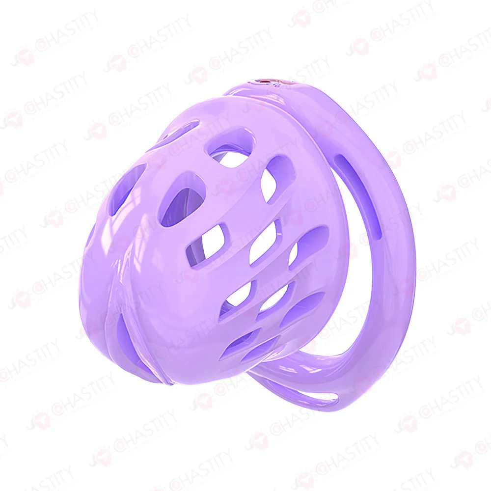 Fitting Chastity Cage - Hidden Lock Cylinder - Image 6