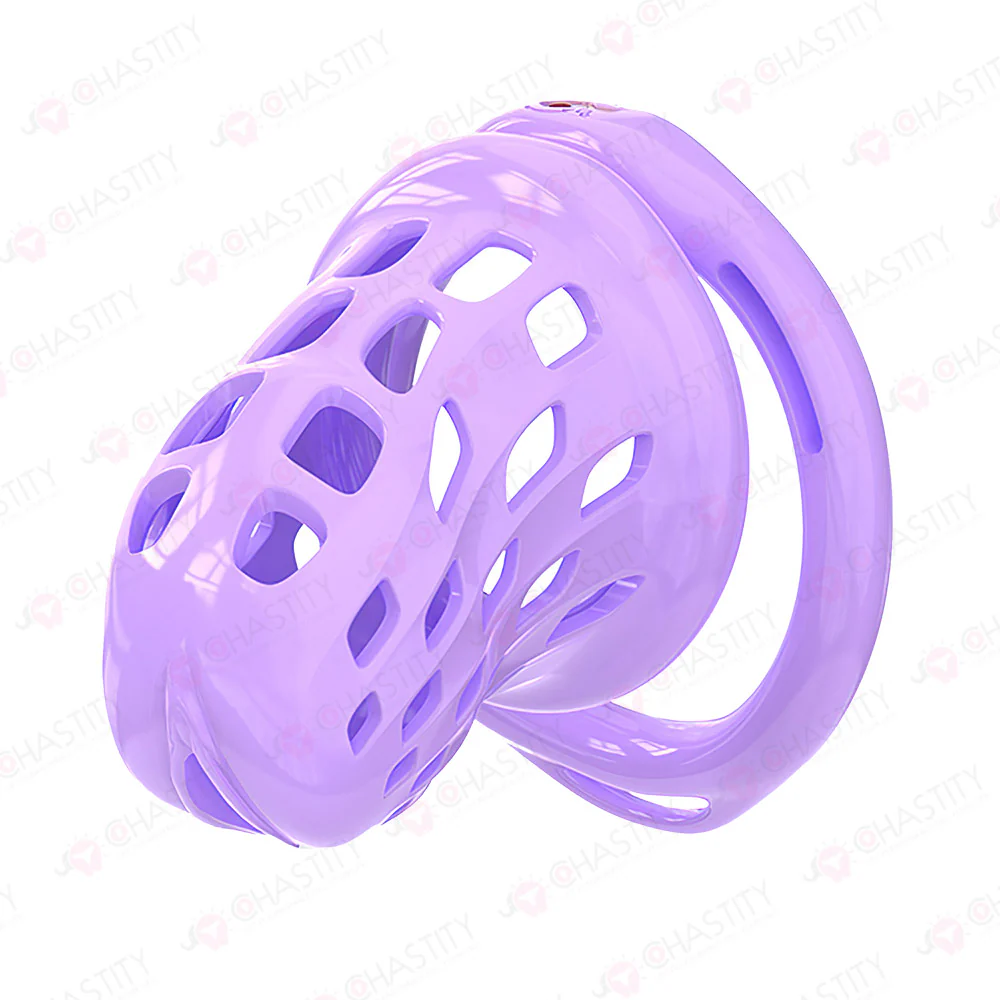 Fitting Chastity Cage - Hidden Lock Cylinder - Image 7