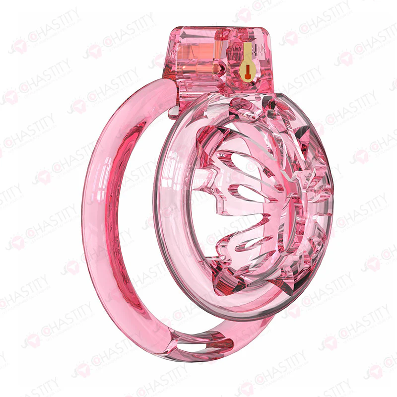 Flat Silicone Soft Cock Cage - Image 14