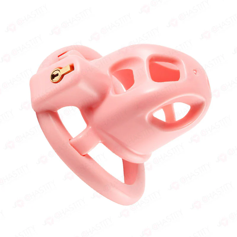 Flat + Small Chastity Cages Set (2 Cages With 3 Rings) - Image 6