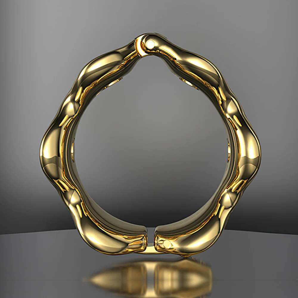 Foreskin Resistance Ring - Image 8