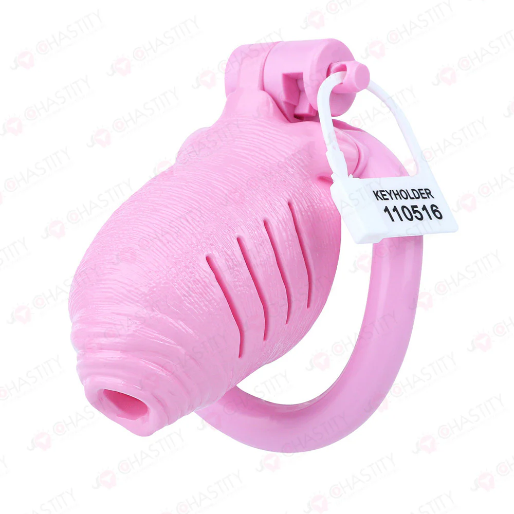 Full Time Foreskin Style Chastity Cage - Image 10