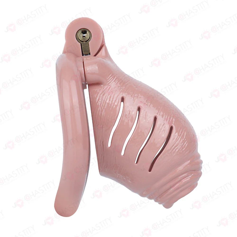 Full Time Foreskin Style Chastity Cage - Image 12