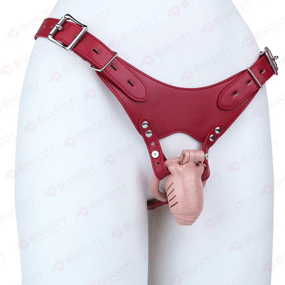 Full Time Foreskin Style Chastity Cage - Image 13