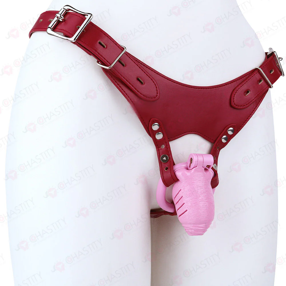 Full Time Foreskin Style Chastity Cage - Image 3