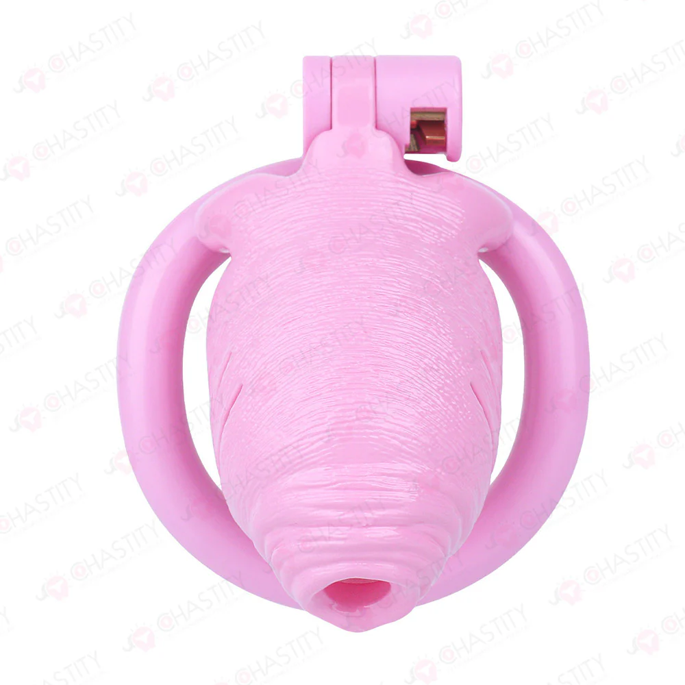 Full Time Foreskin Style Chastity Cage - Image 7