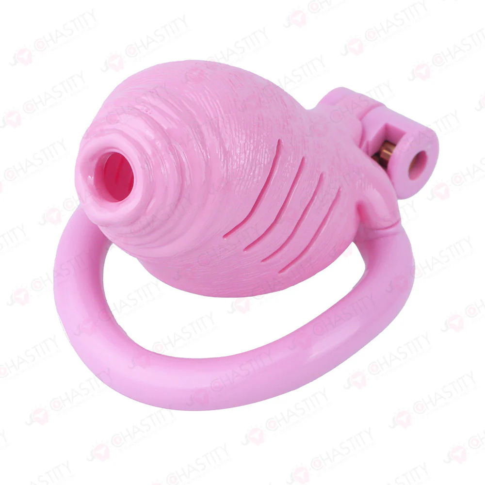 Full Time Foreskin Style Chastity Cage - Image 9