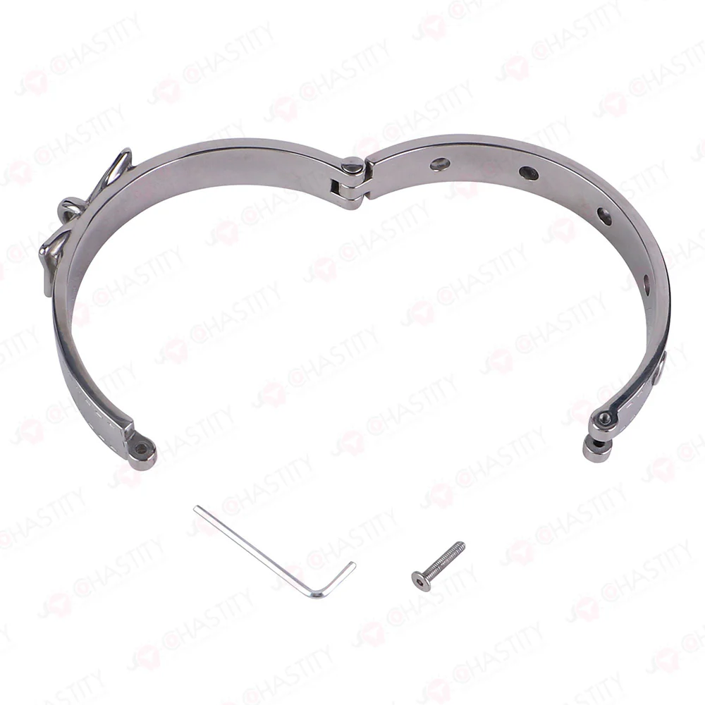 Heavy-Duty Stainless Steel Collar - Image 6