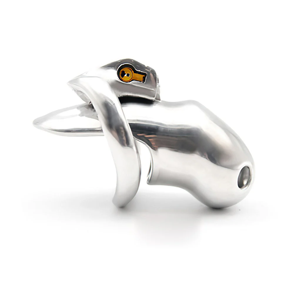 Holy Trainer Chastity Cage - Image 7