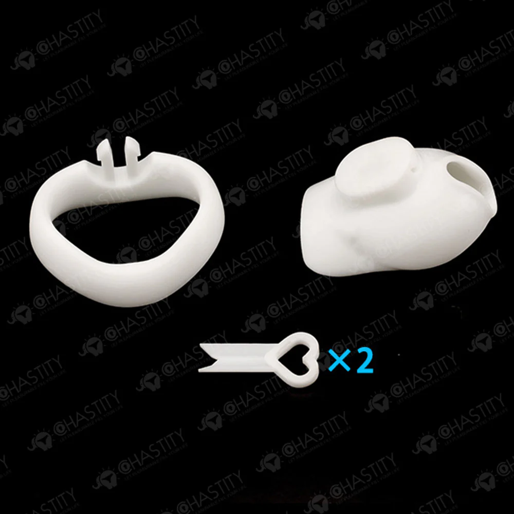 Holy Trainer V6 ( Metal-Free ) - Image 11