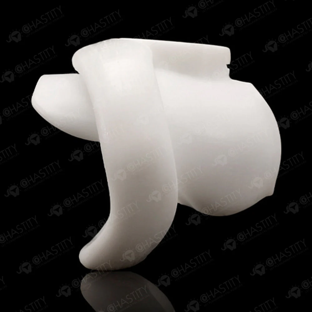 Holy Trainer V6 ( Metal-Free ) - Image 12