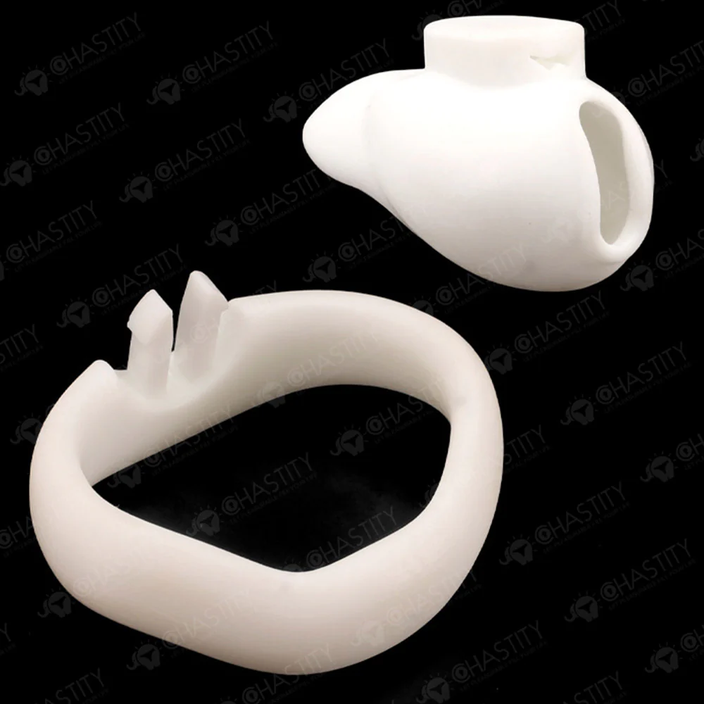 Holy Trainer V6 ( Metal-Free ) - Image 16