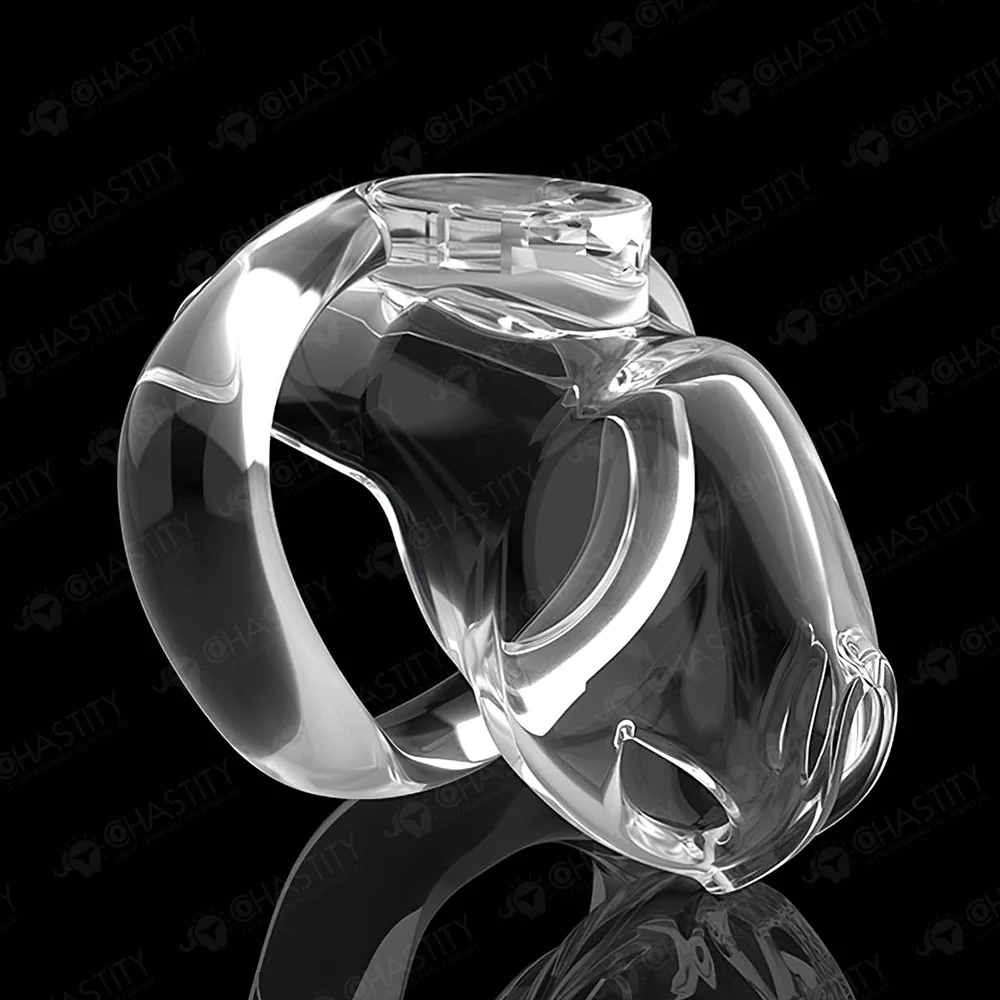 Holy Trainer V6 ( Metal-Free ) - Image 17