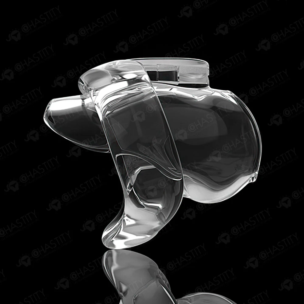 Holy Trainer V6 ( Metal-Free ) - Image 18