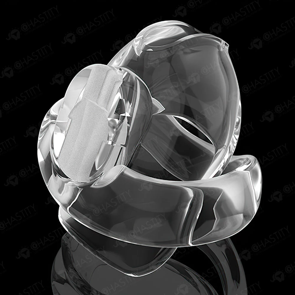 Holy Trainer V6 ( Metal-Free ) - Image 19