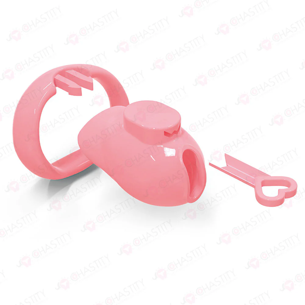 Holy Trainer V6 ( Metal-Free ) - Image 2