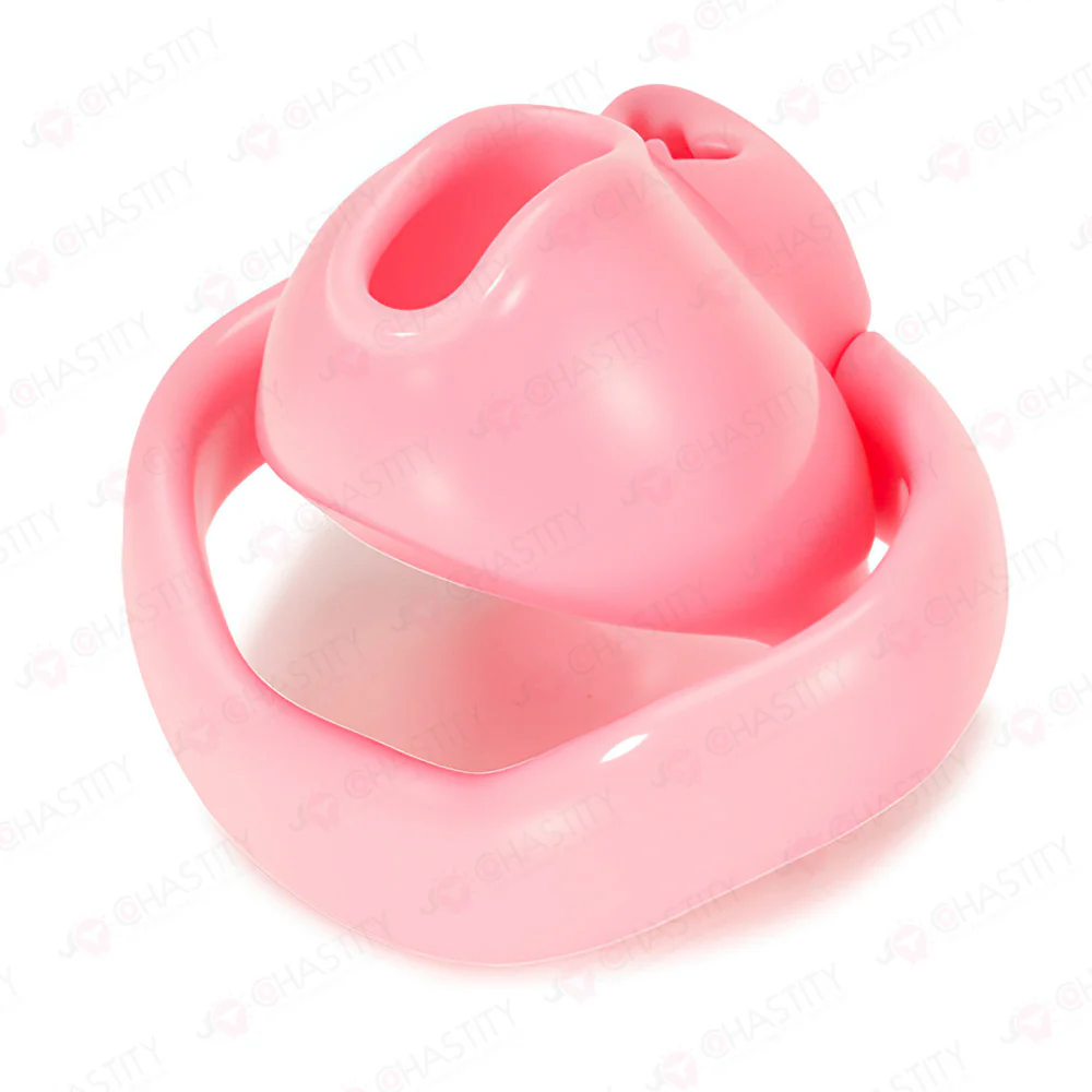 Holy Trainer V6 ( Metal-Free ) - Image 6
