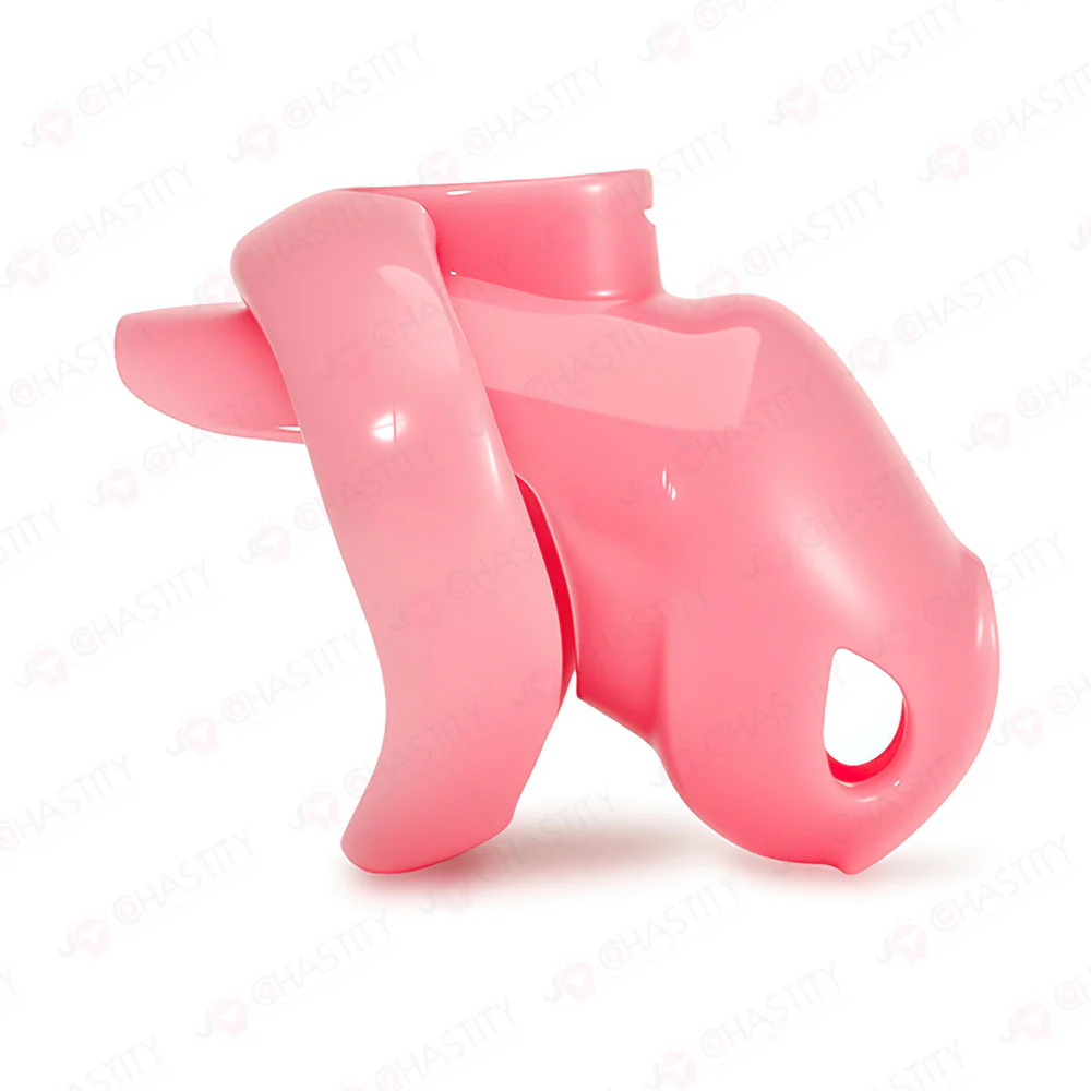Holy Trainer V6 ( Metal-Free ) - Image 7