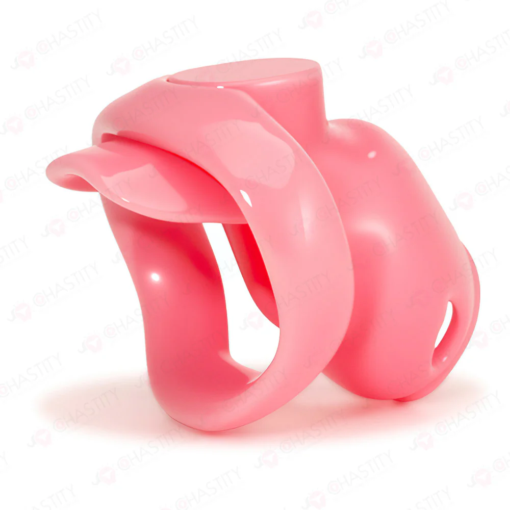 Holy Trainer V6 ( Metal-Free ) - Image 8