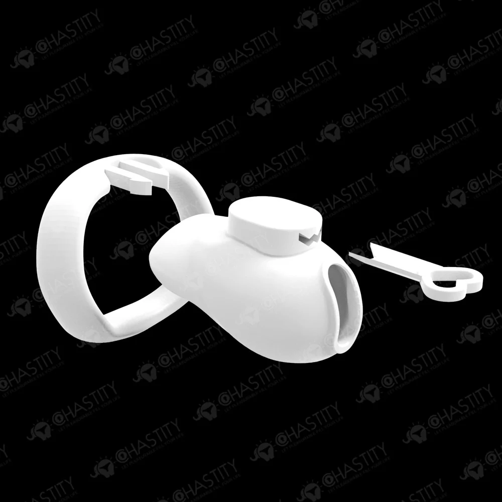 Holy Trainer V6 ( Metal-Free ) - Image 9