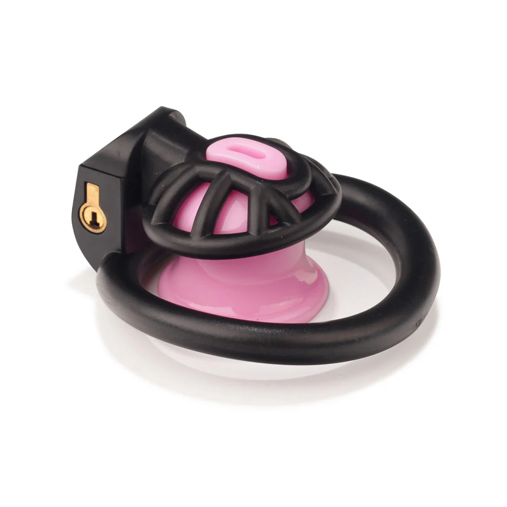 Innie Chastity Cage - Image 4