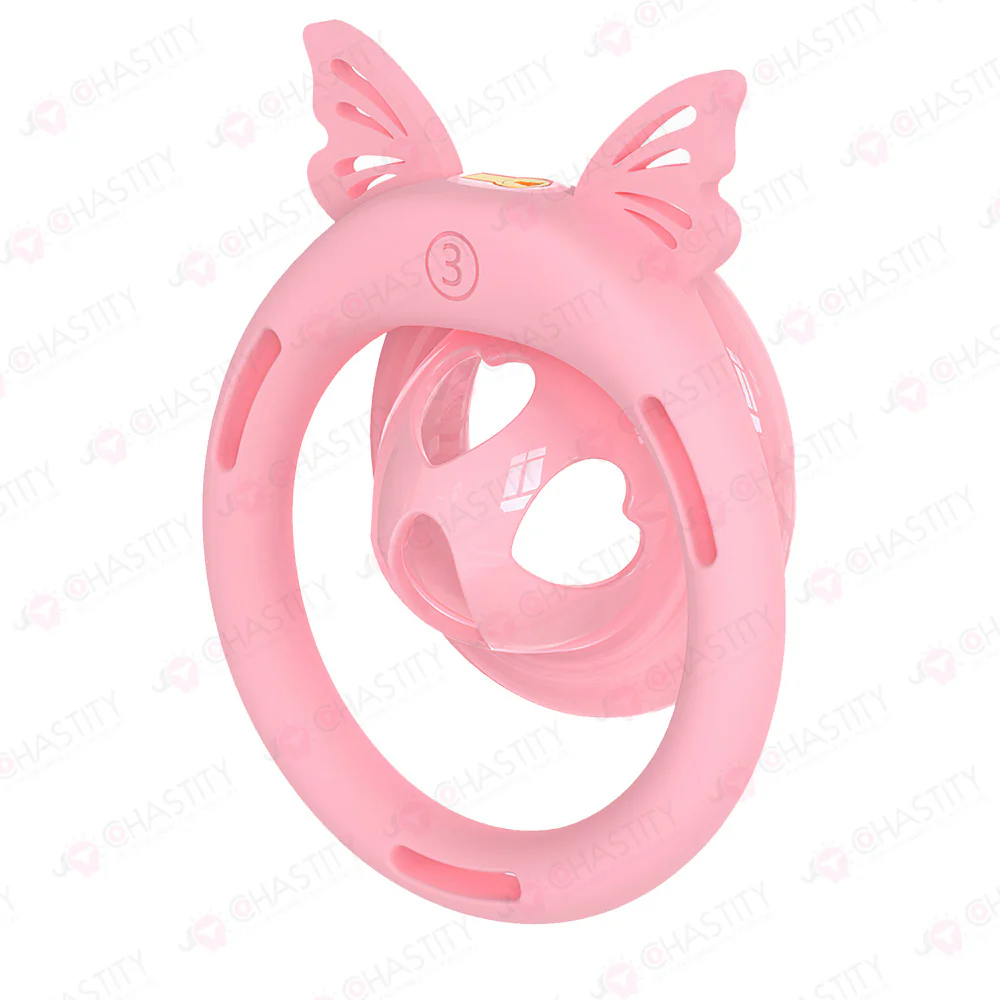 Inside-Out Reverse Wear Chastity Cage - Image 11