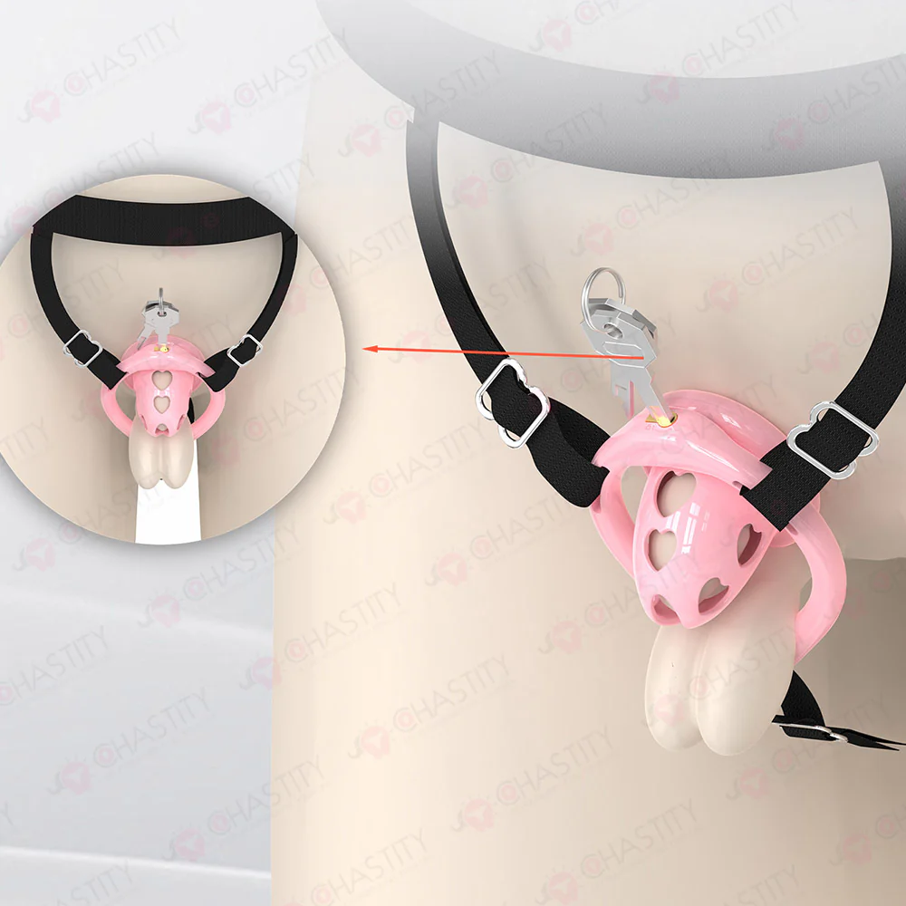 Inside-Out Reverse Wear Chastity Cage - Image 14