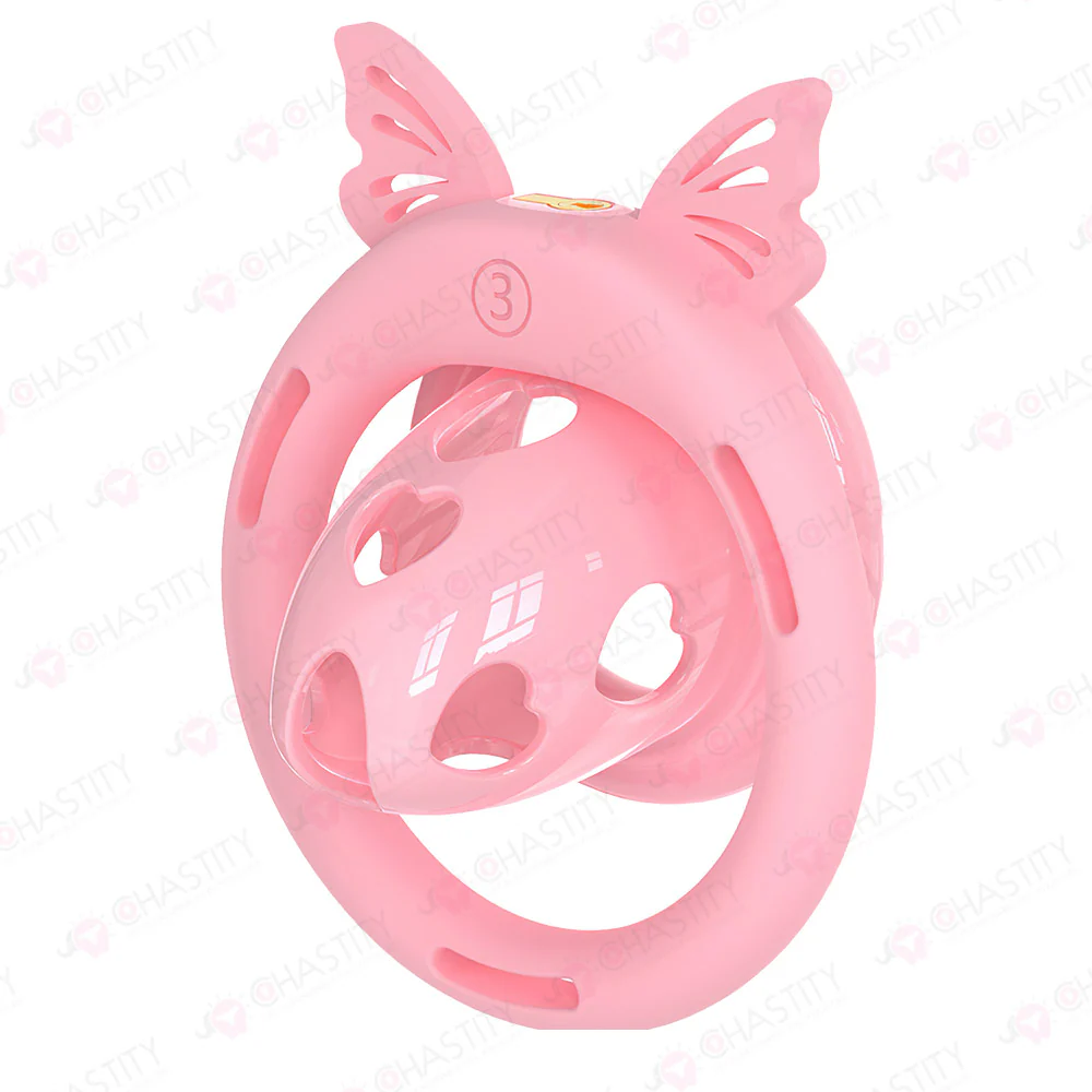 Inside-Out Reverse Wear Chastity Cage - Image 7