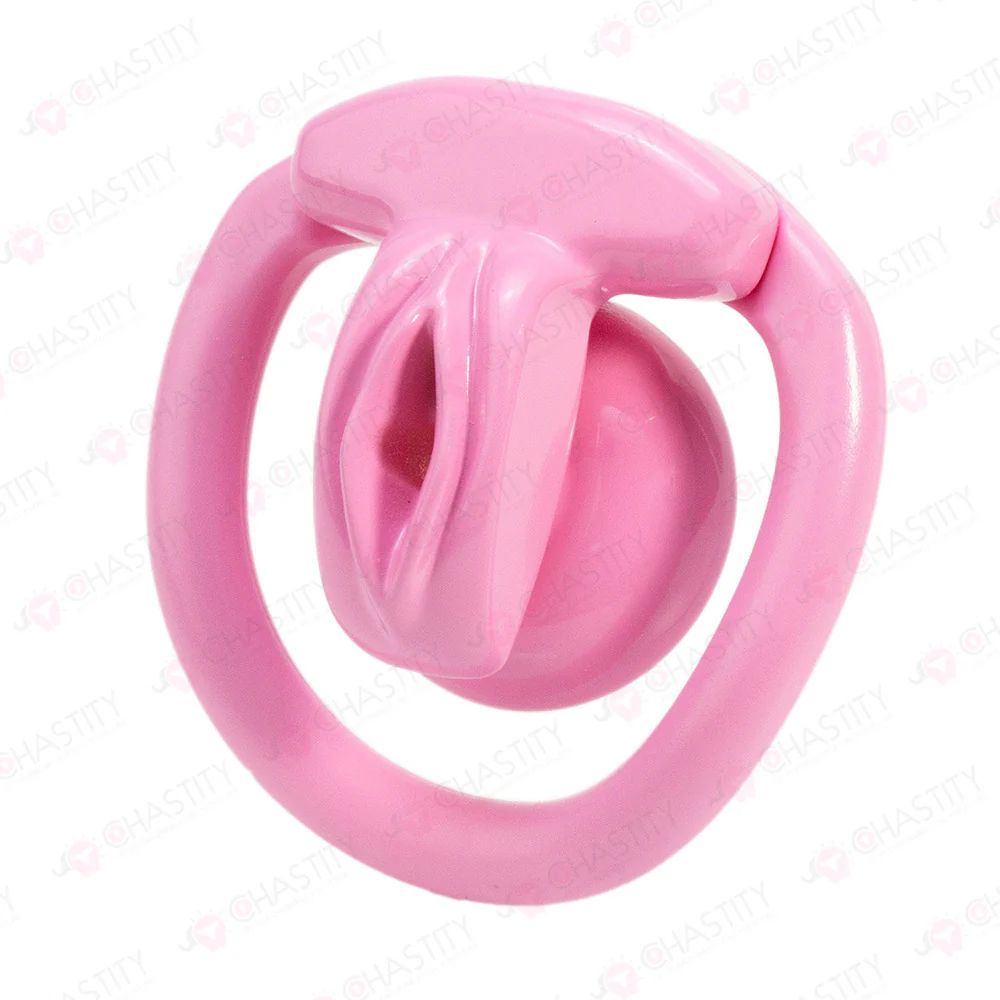 Inverted Crossdressing Chastity Pussy