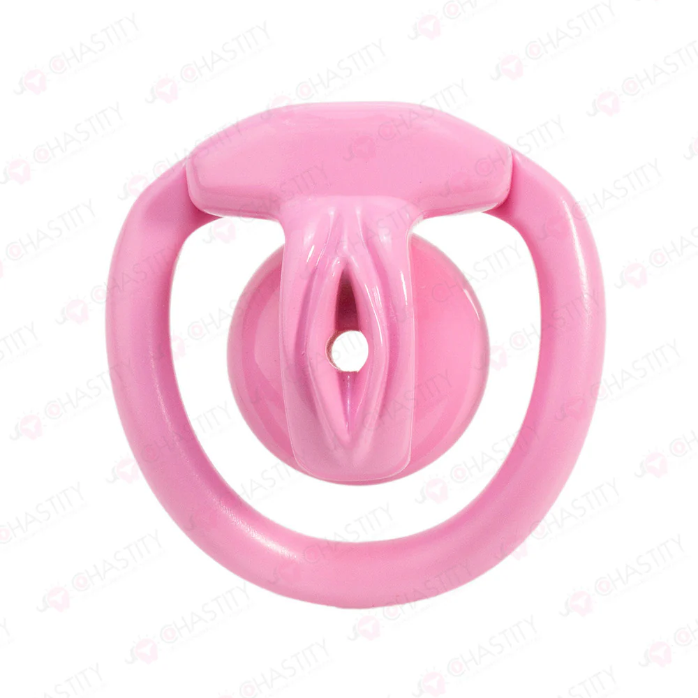 Inverted Crossdressing Chastity Pussy - Image 8